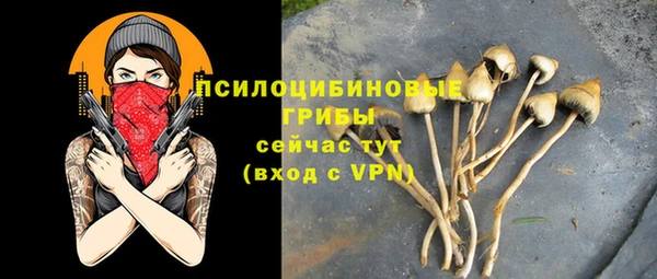 спайс Алзамай