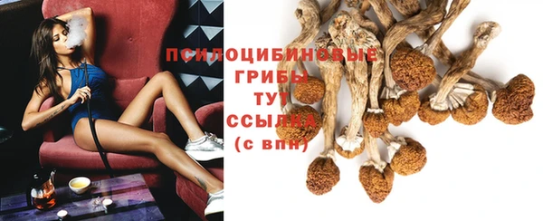 спайс Алзамай